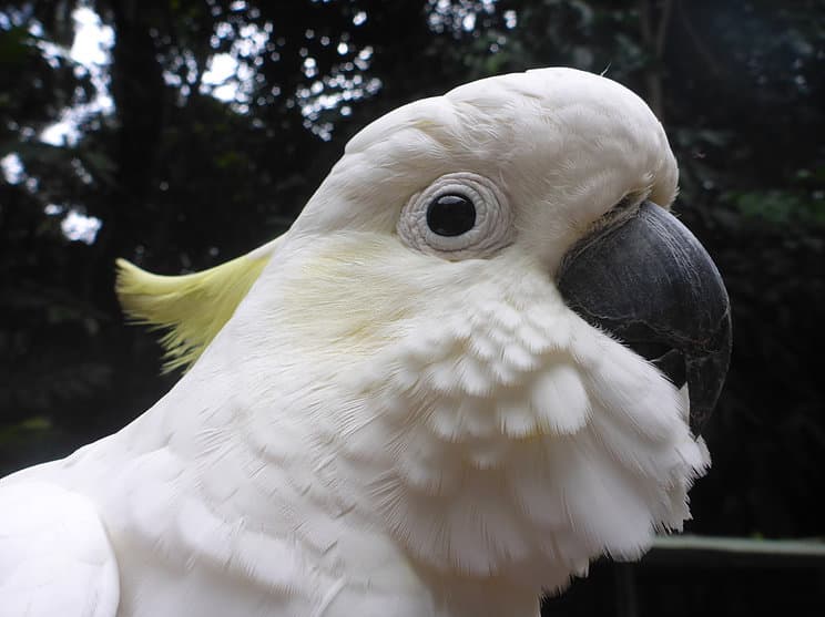 Wildlife at Ngorongoro Lodge