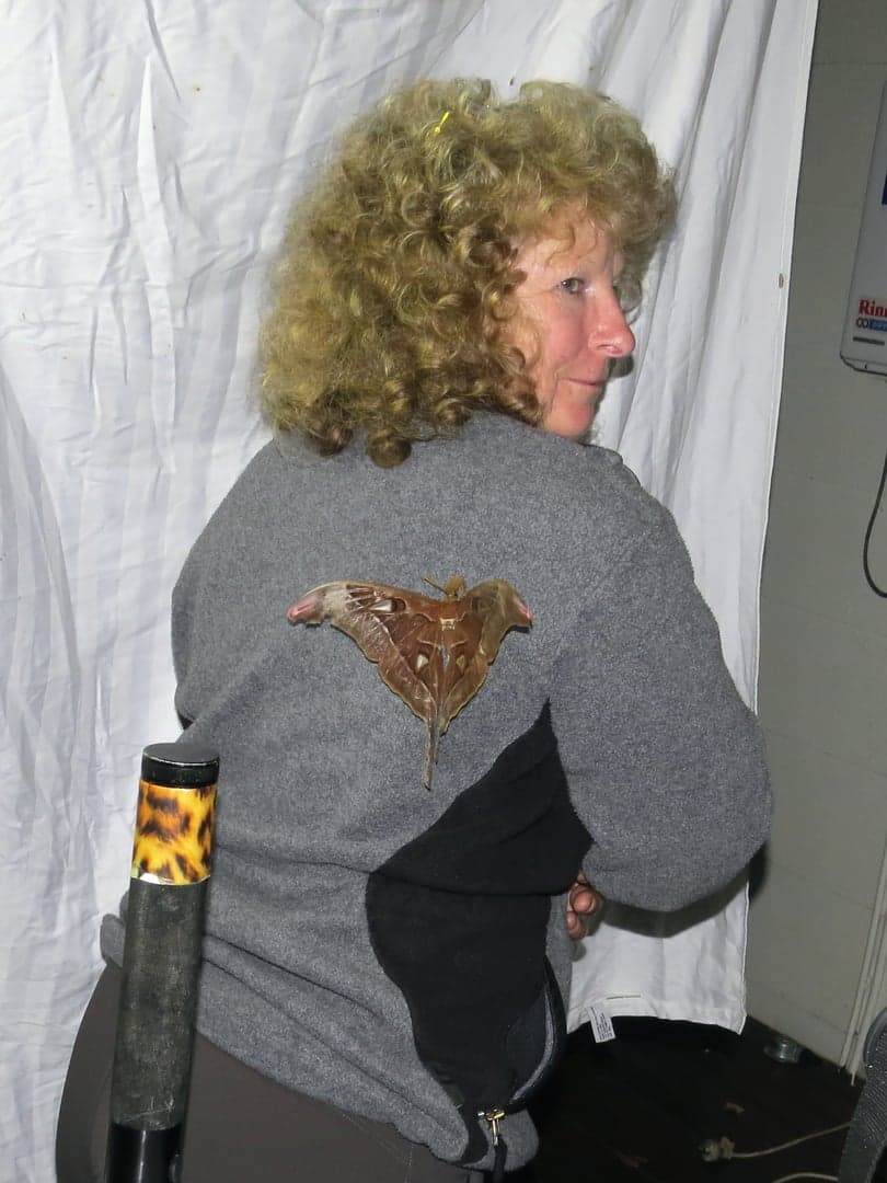 Sue with a Hercules Moth