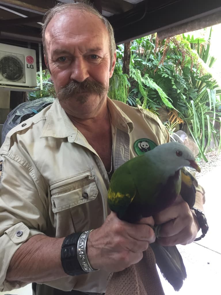 Patrick with a Whompoo Dove